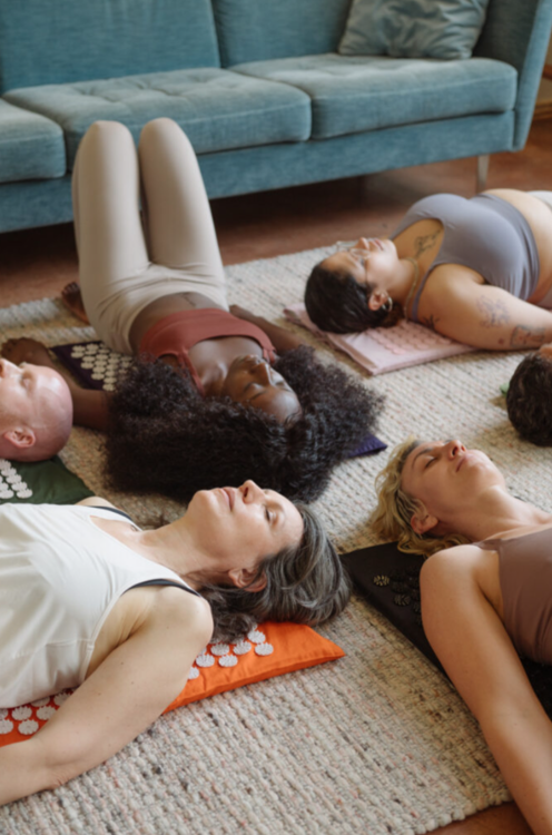 Mynd Shakti nálastungudýna Standard 