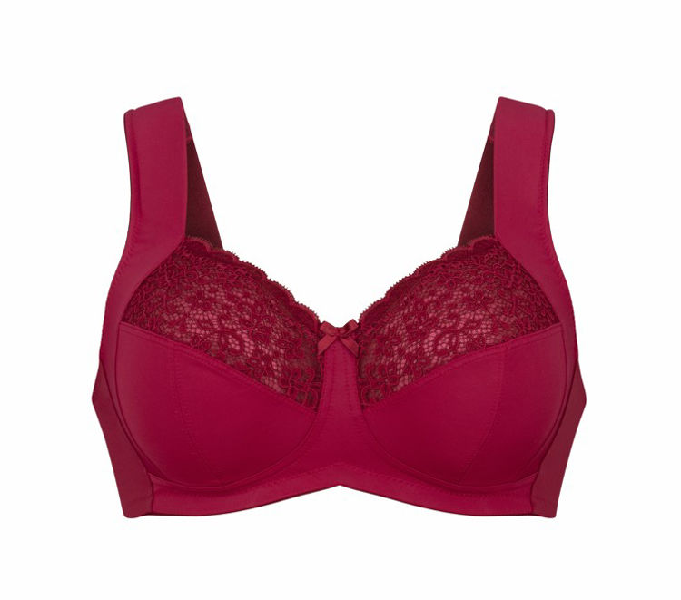 Mynd Anita Havanna brjóstahaldari 