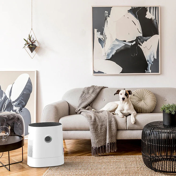 Mynd Boneco W220 raka- og lofthreinsitæki