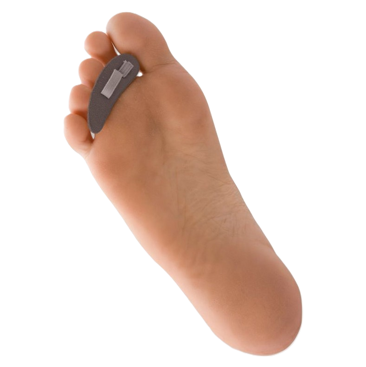 Mynd Púði fyrir hamartær
